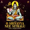 About O Shivayya Nee Sitralu Song